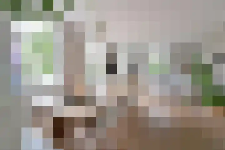 Hangenweg 6 Huizen thumbnail 11