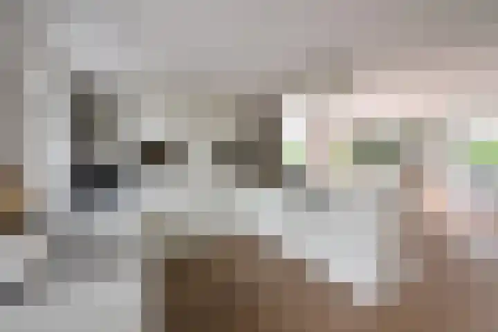 Hangenweg 6 Huizen thumbnail 12