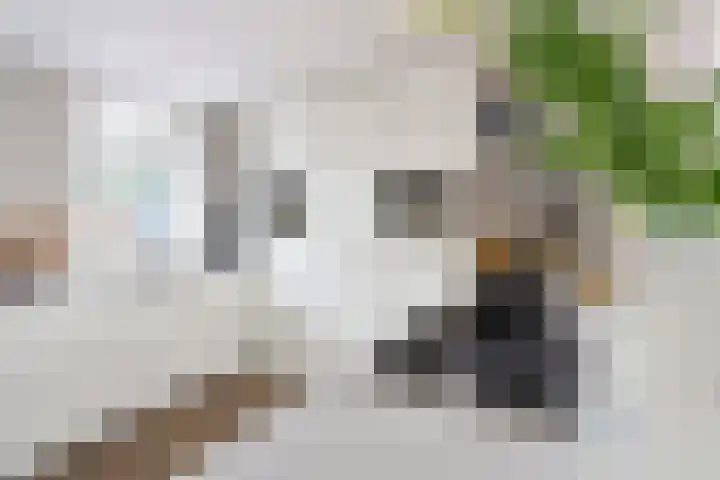 Hangenweg 6 Huizen thumbnail 13