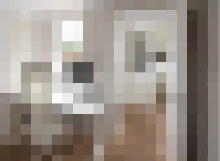 Hangenweg 6 Huizen thumbnail 15
