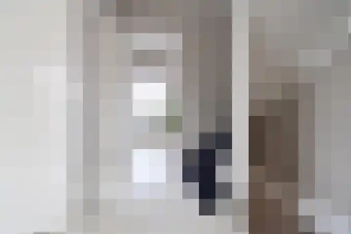 Hangenweg 6 Huizen thumbnail 16