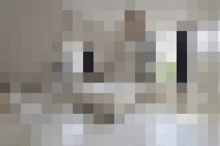 Hangenweg 6 Huizen thumbnail 17