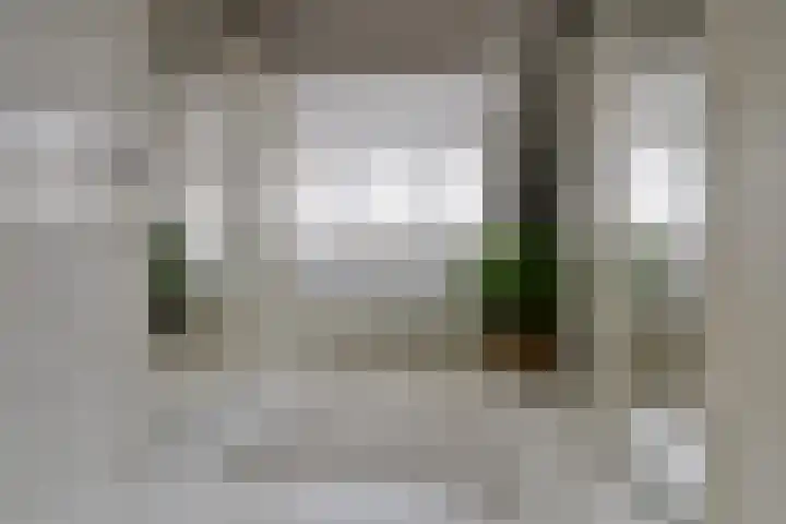 Hangenweg 6 Huizen thumbnail 19