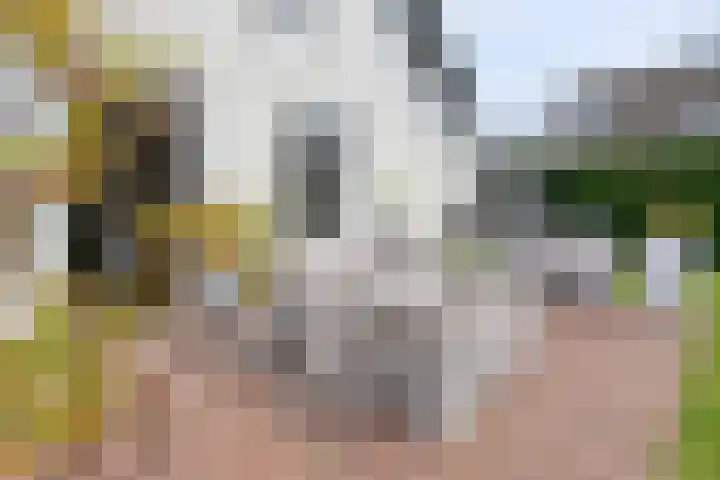 Hangenweg 6 Huizen thumbnail 25