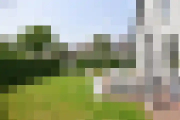 Hangenweg 6 Huizen thumbnail 26