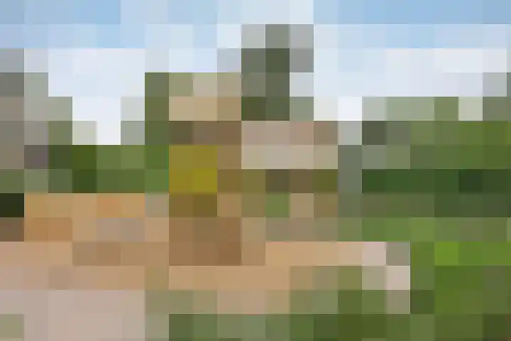 Hangenweg 6 Huizen thumbnail 28