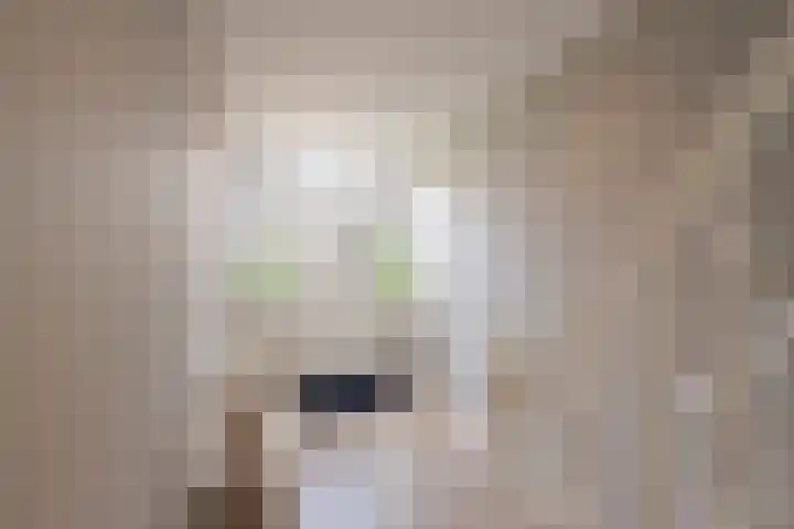 Hangenweg 6 Huizen thumbnail 5