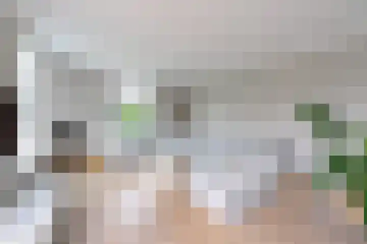Hangenweg 6 Huizen thumbnail 6