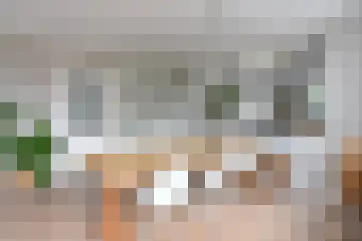Hangenweg 6 Huizen thumbnail 9