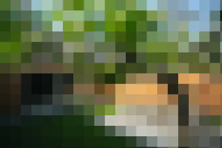 Hangenweg 8 Huizen thumbnail 10