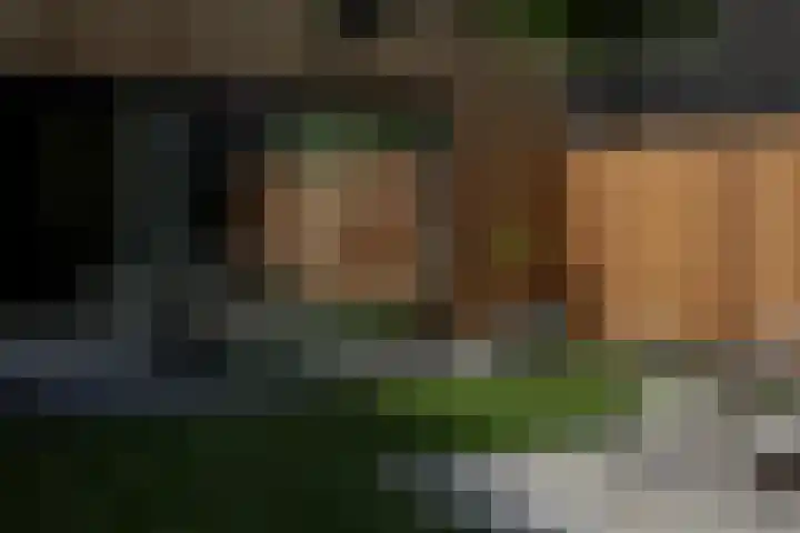 Hangenweg 8 Huizen thumbnail 12