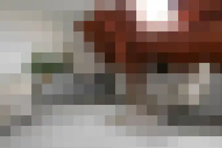 Hangenweg 8 Huizen thumbnail 16