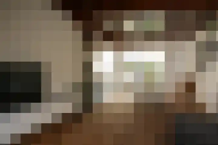Hangenweg 8 Huizen thumbnail 4
