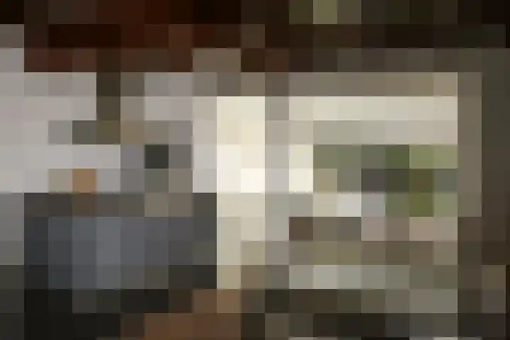 Hangenweg 8 Huizen thumbnail 6