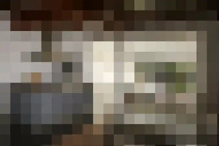 Hangenweg 8 Huizen thumbnail 8