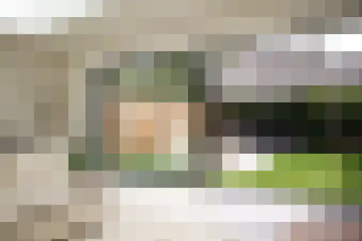 Hangenweg 8 Huizen thumbnail 9