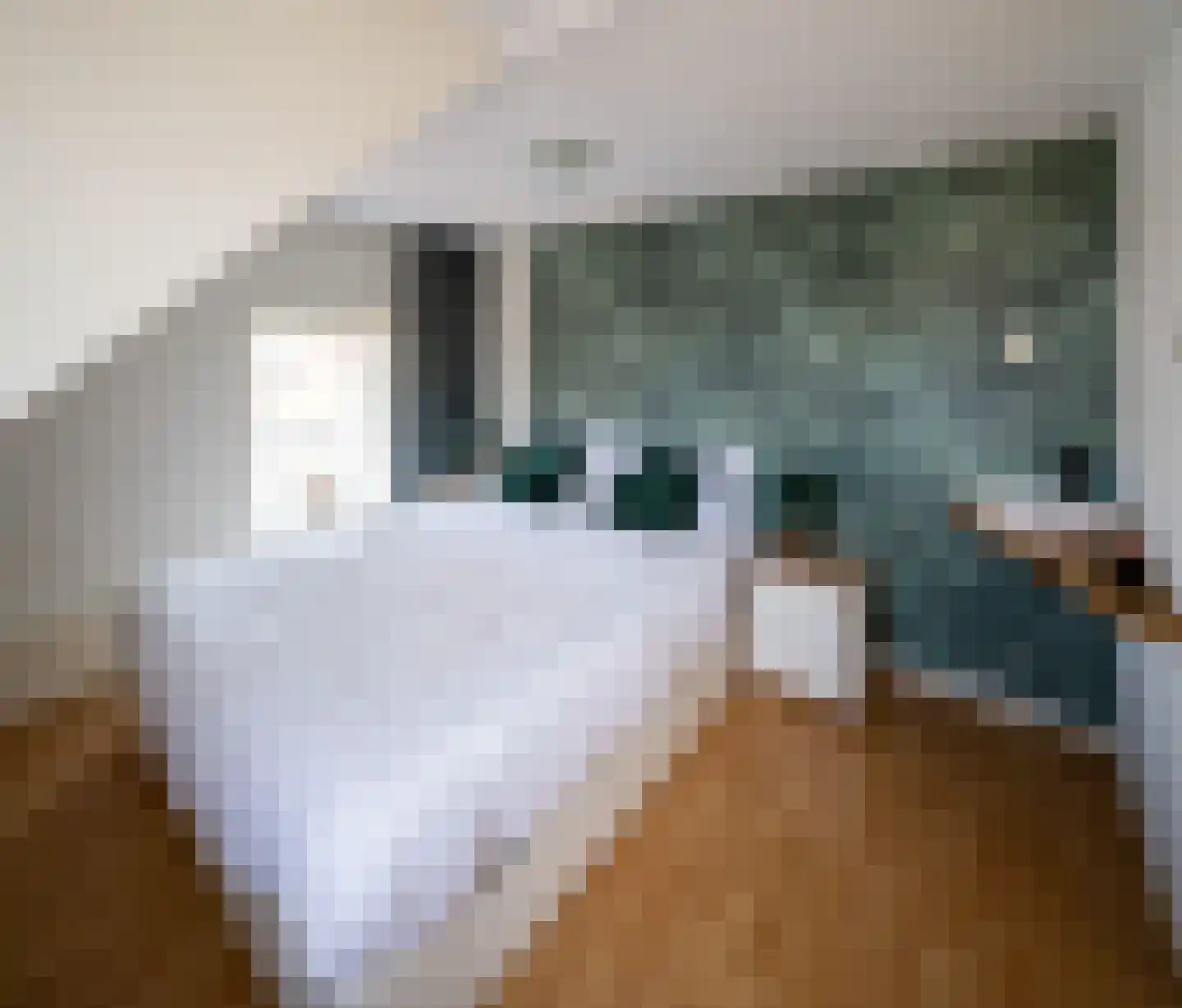 Hangerad 30 Rijssen thumbnail 27