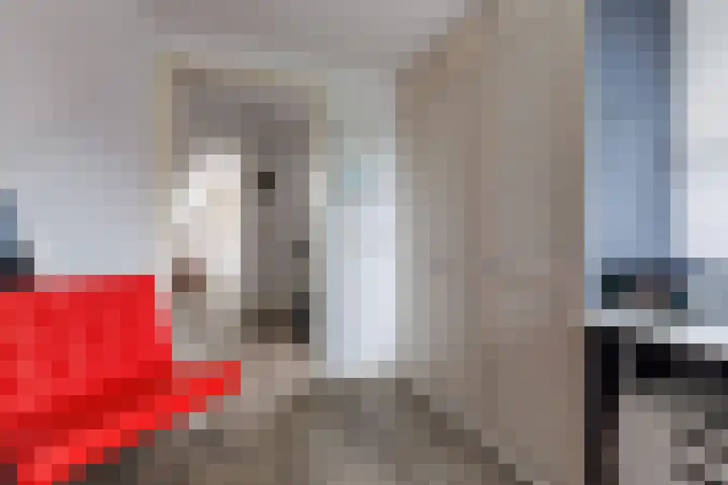 Hangerad 31 Rijssen thumbnail 29