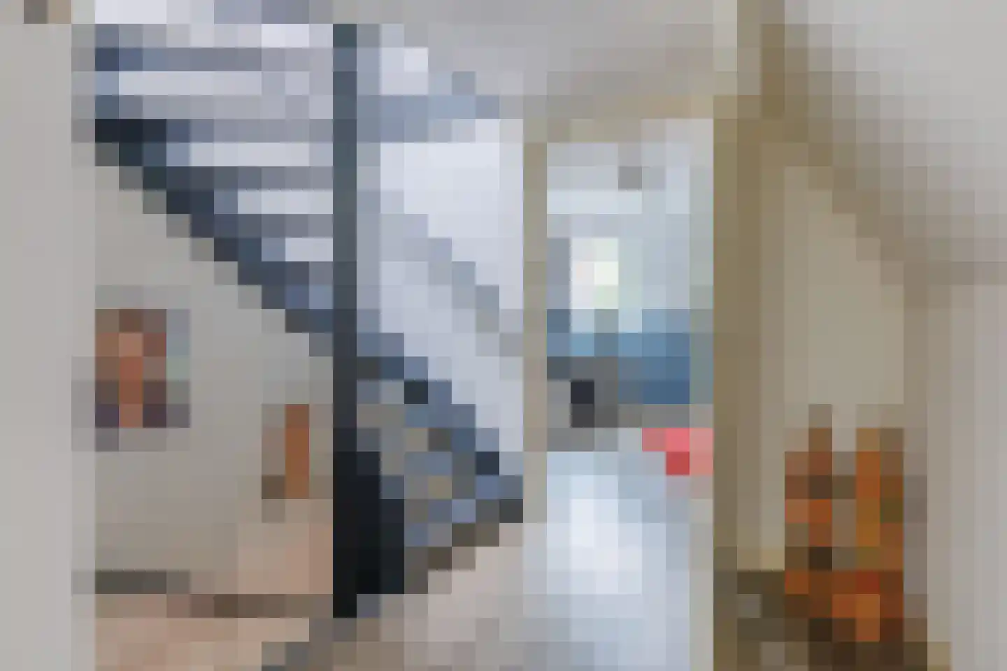 Hangerad 31 Rijssen thumbnail 33
