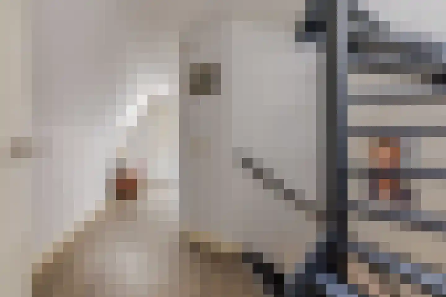Hangerad 31 Rijssen thumbnail 34