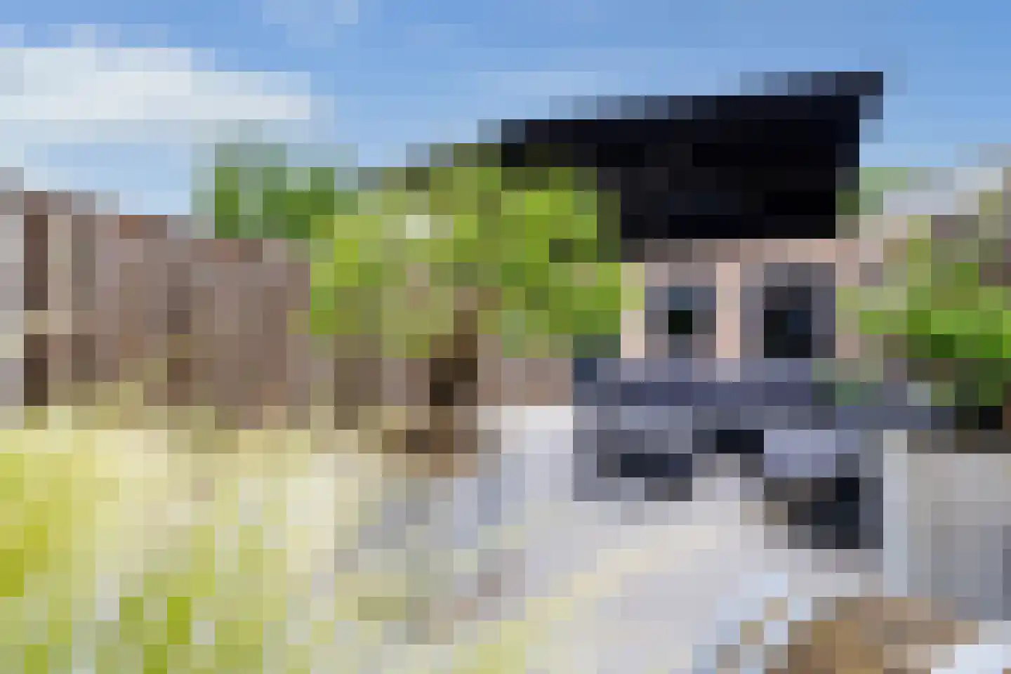 Hangerad 31 Rijssen thumbnail 41