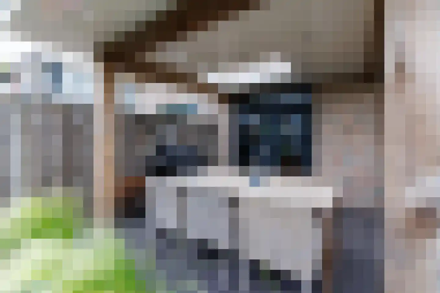 Hangerad 31 Rijssen thumbnail 42