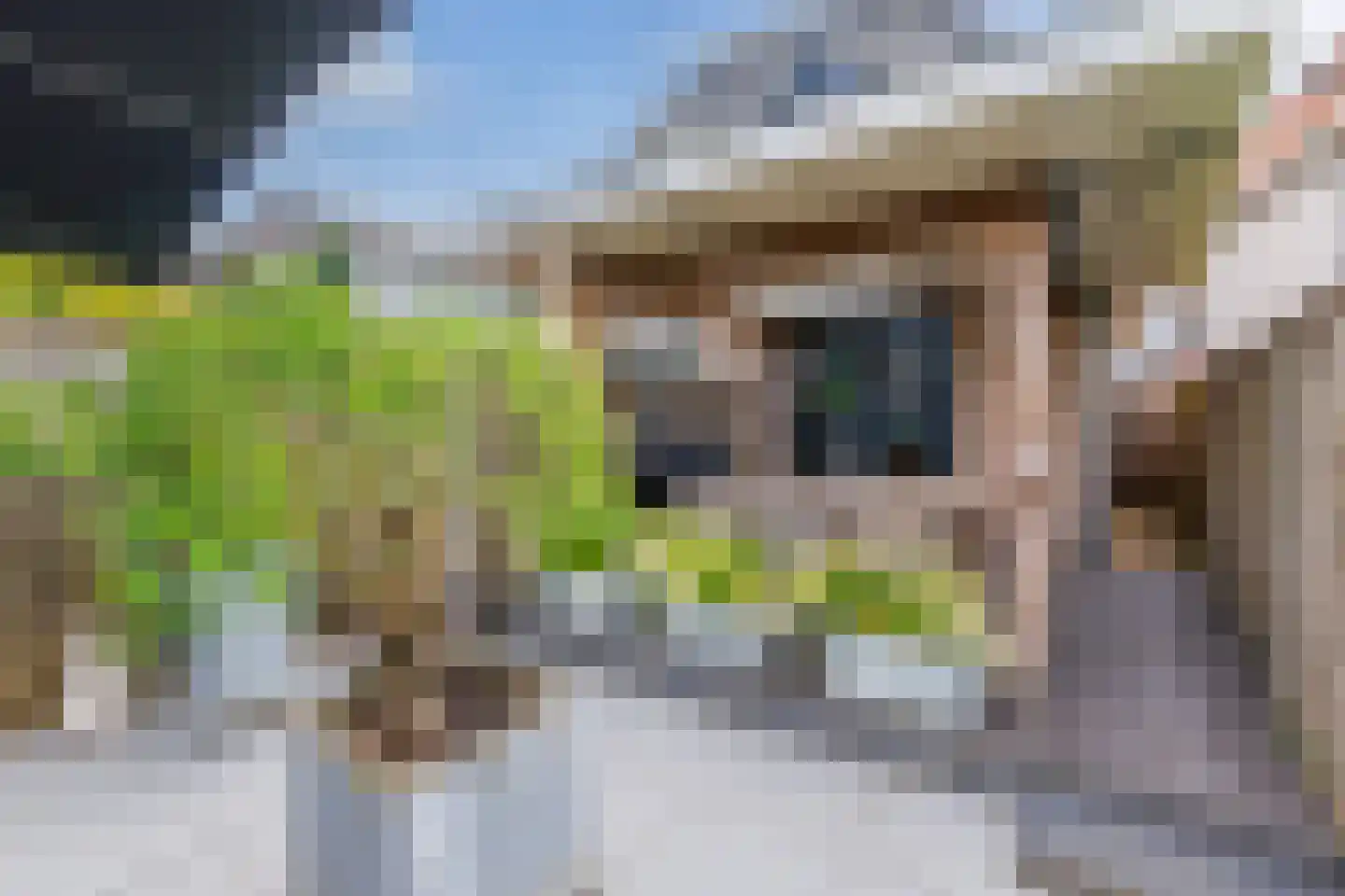 Hangerad 31 Rijssen thumbnail 43