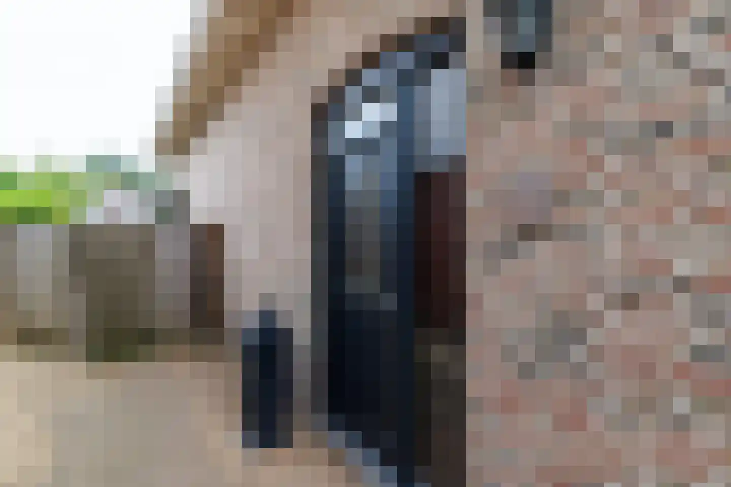 Hangerad 31 Rijssen thumbnail 6