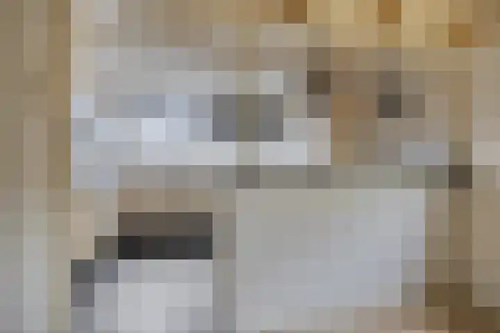 Hangerad 40 Rijssen thumbnail 20