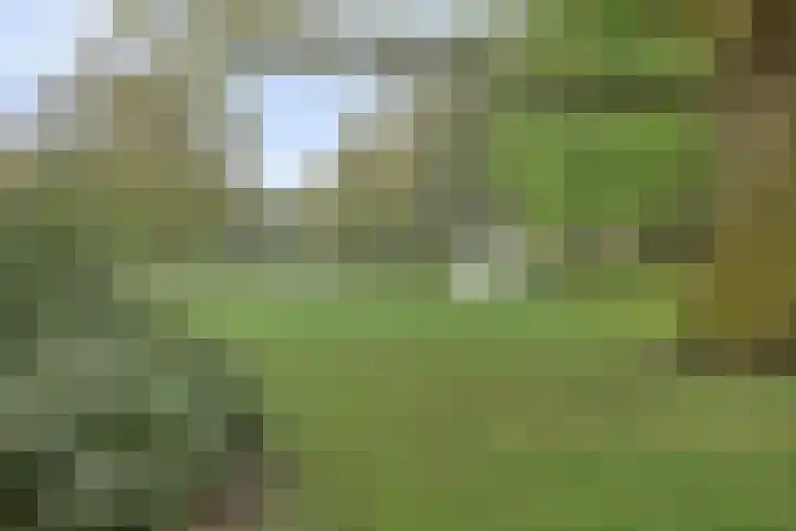 Hangerad 40 Rijssen thumbnail 6