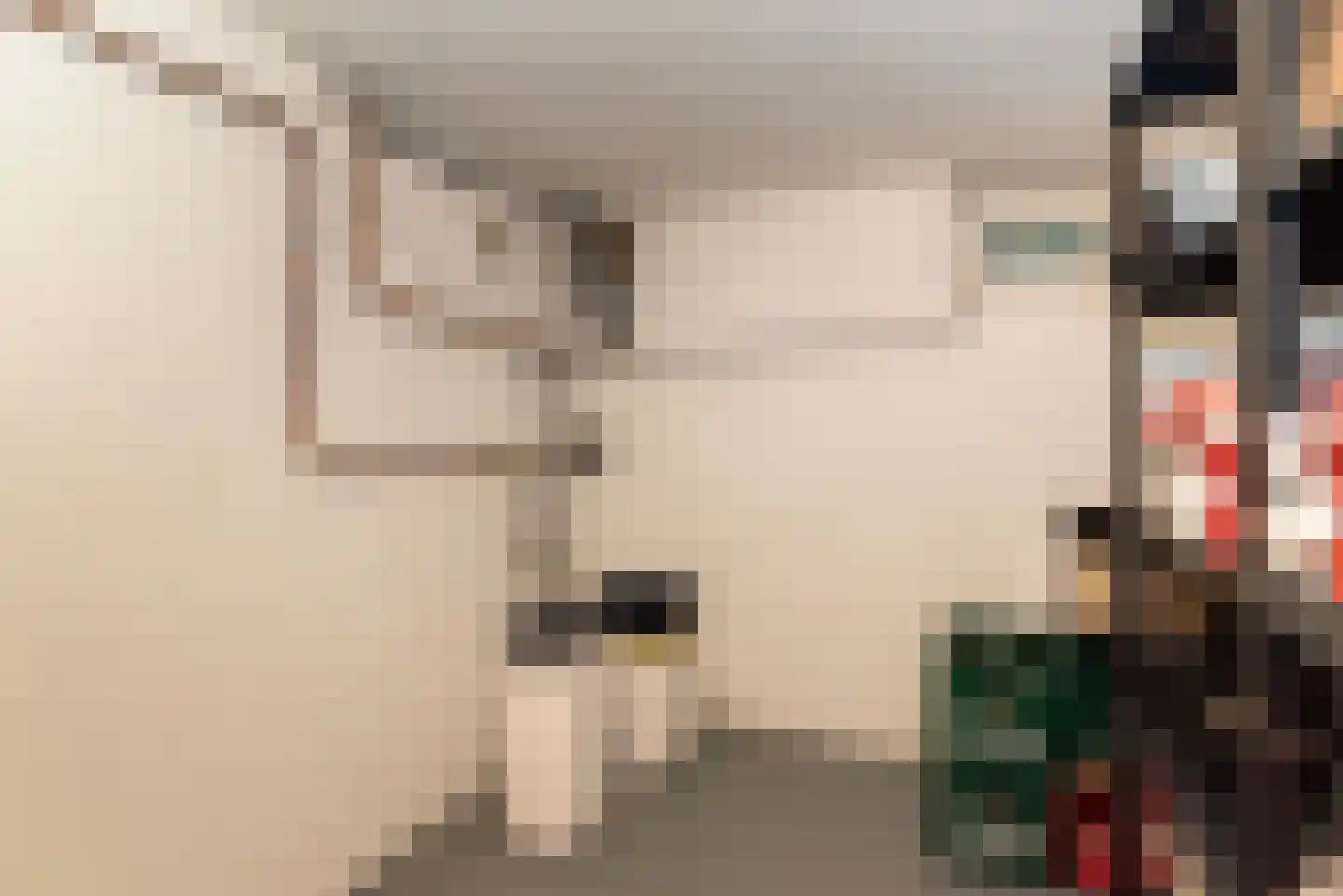 Hangerad 8 Rijssen thumbnail 28