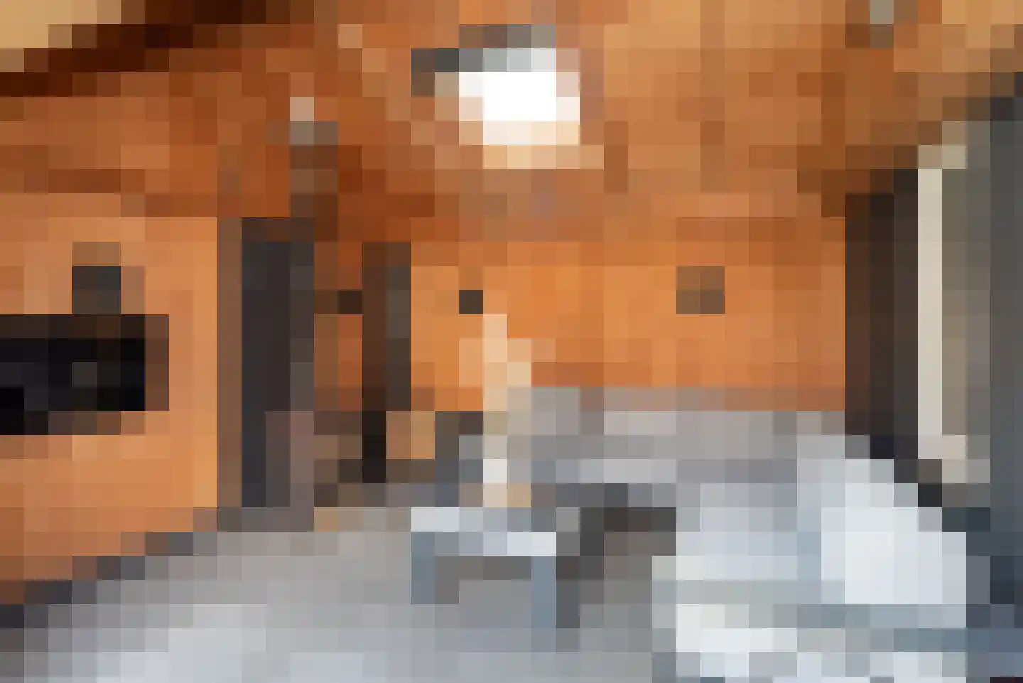 Hangerad 8 Rijssen thumbnail 51