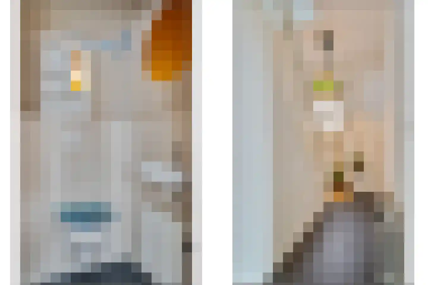 Hanikerweg 3 Lomm thumbnail 16