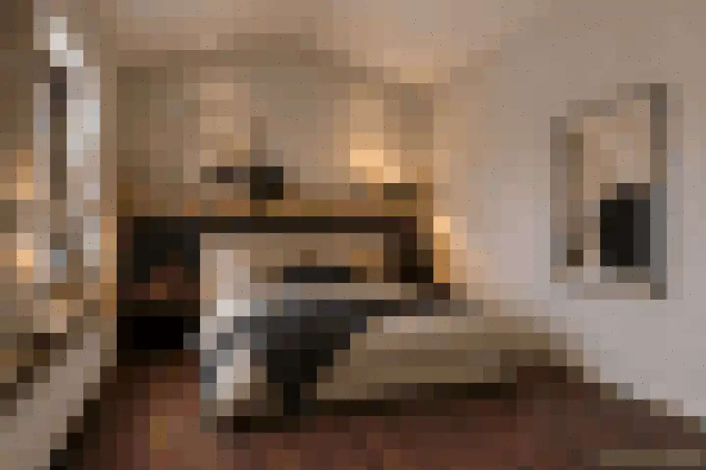 Hanikerweg 3 Lomm thumbnail 16