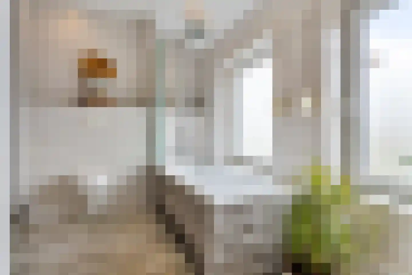 Hanikerweg 3 Lomm thumbnail 22