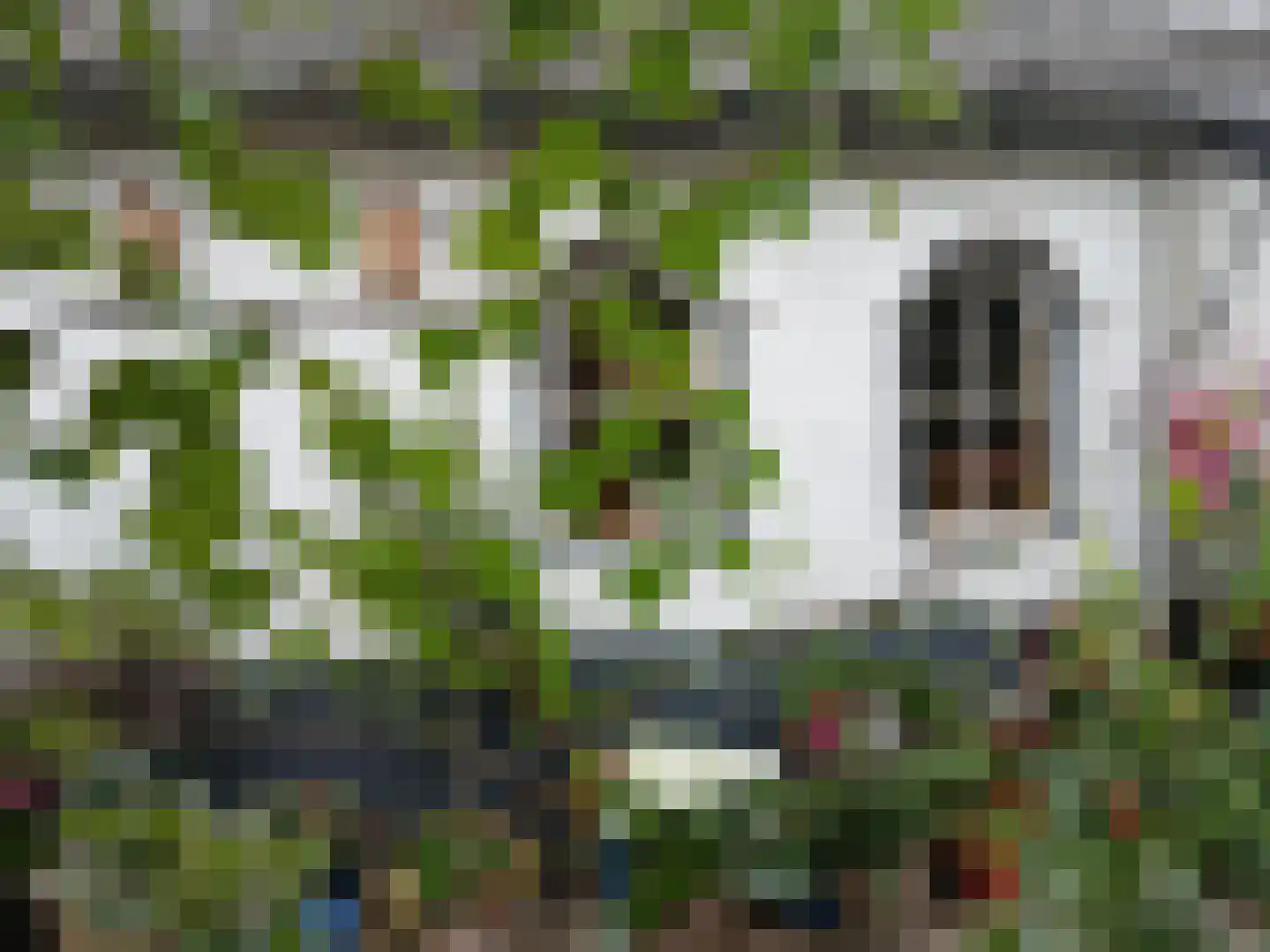 Hanikerweg 3 Lomm thumbnail 24