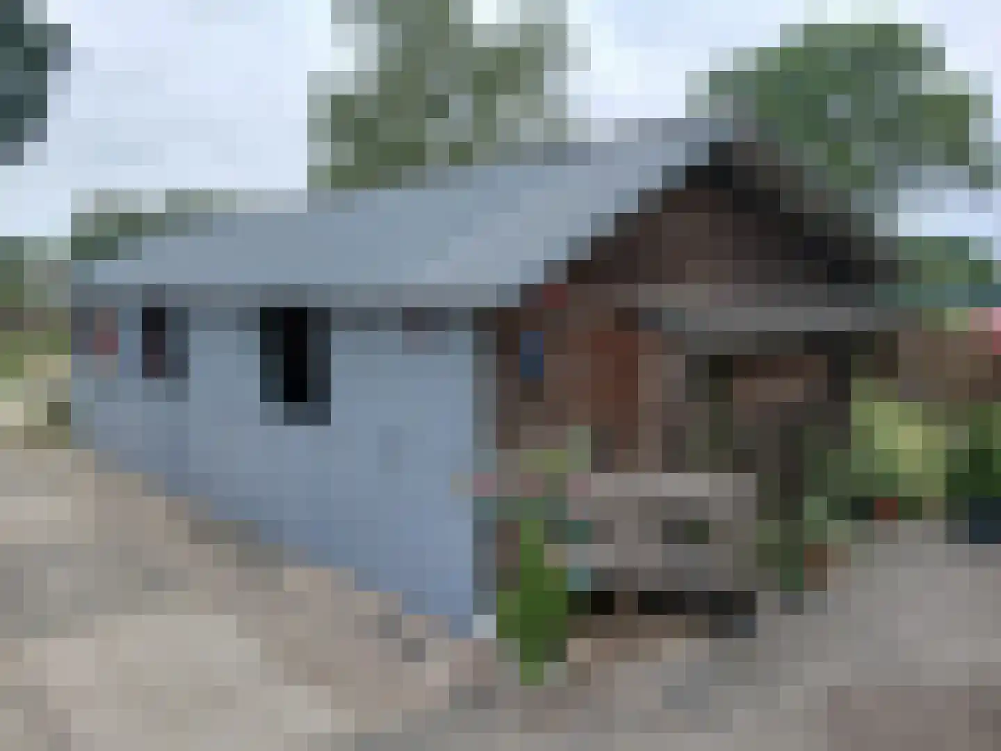 Hanikerweg 3 Lomm thumbnail 29