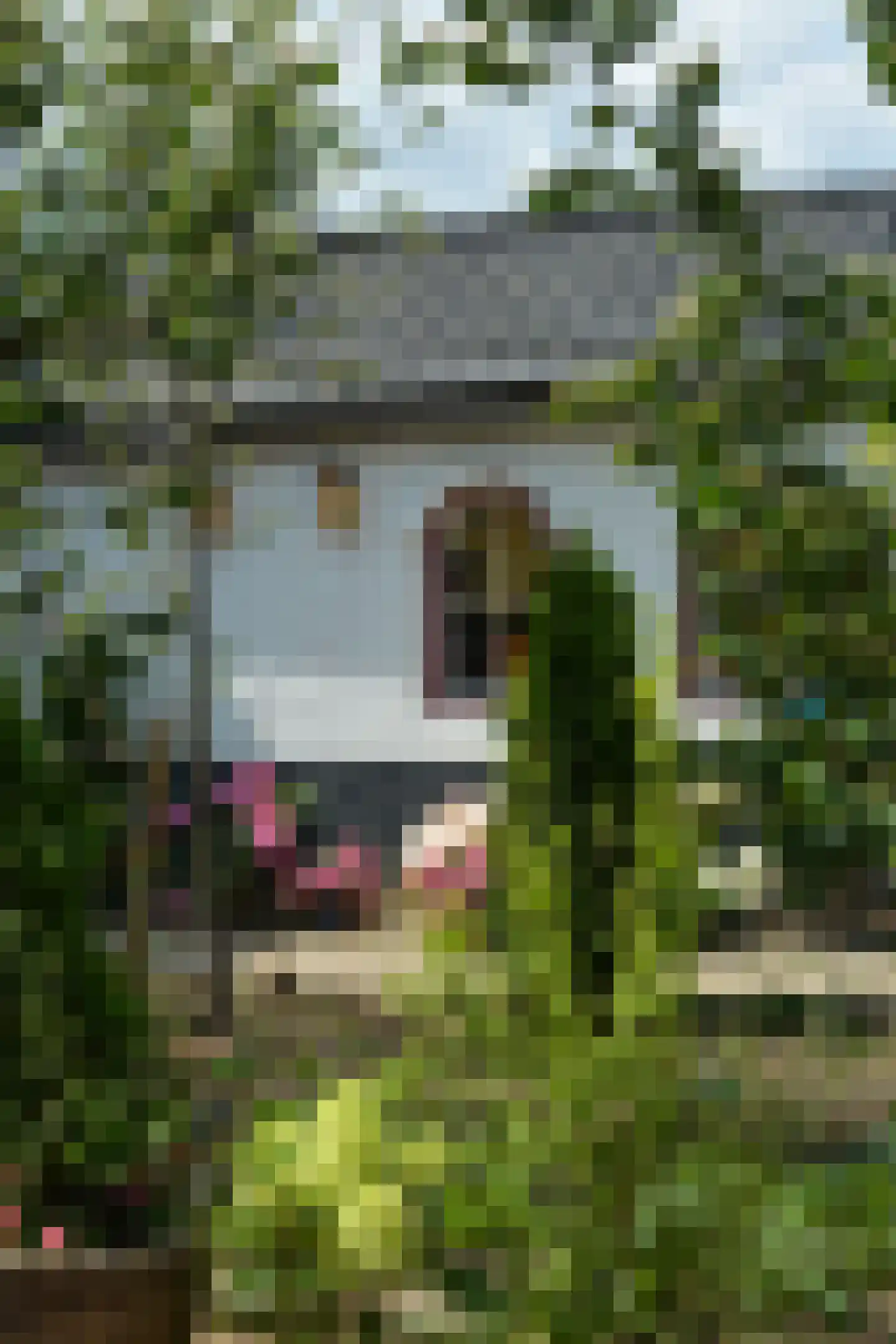 Hanikerweg 3 Lomm thumbnail 31