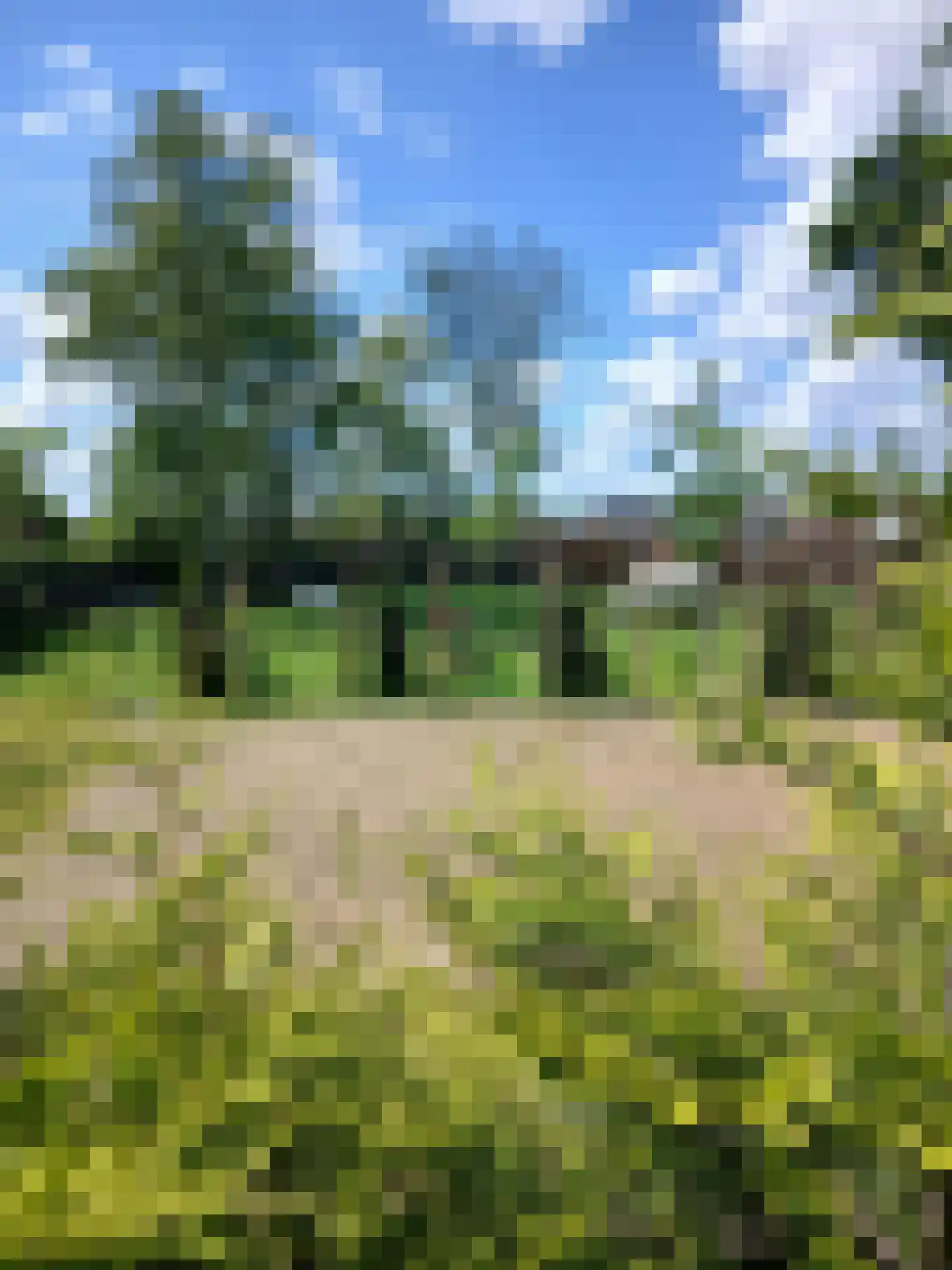 Hanikerweg 3 Lomm thumbnail 32
