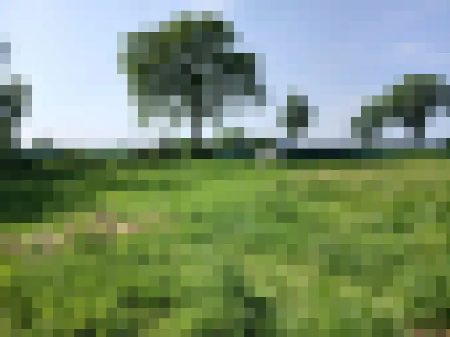 Hanikerweg 3 Lomm thumbnail 35