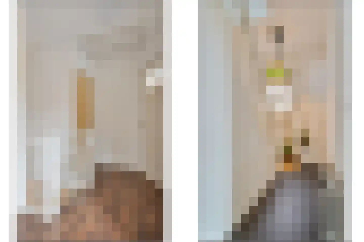 Hanikerweg 3 Lomm thumbnail 36