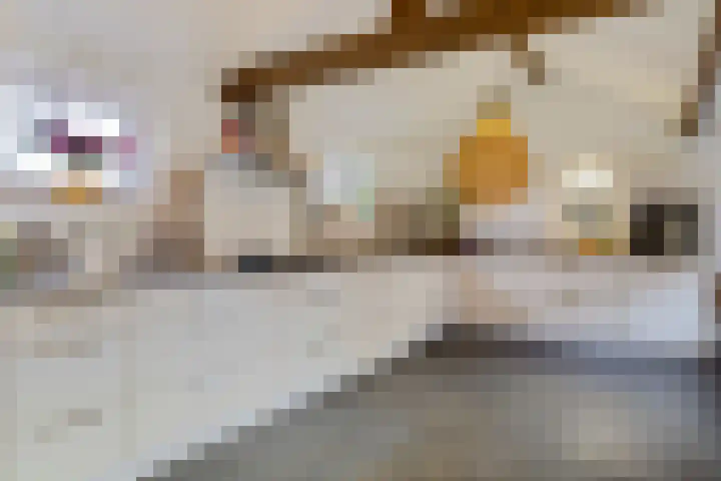 Hanikerweg 3 Lomm thumbnail 4