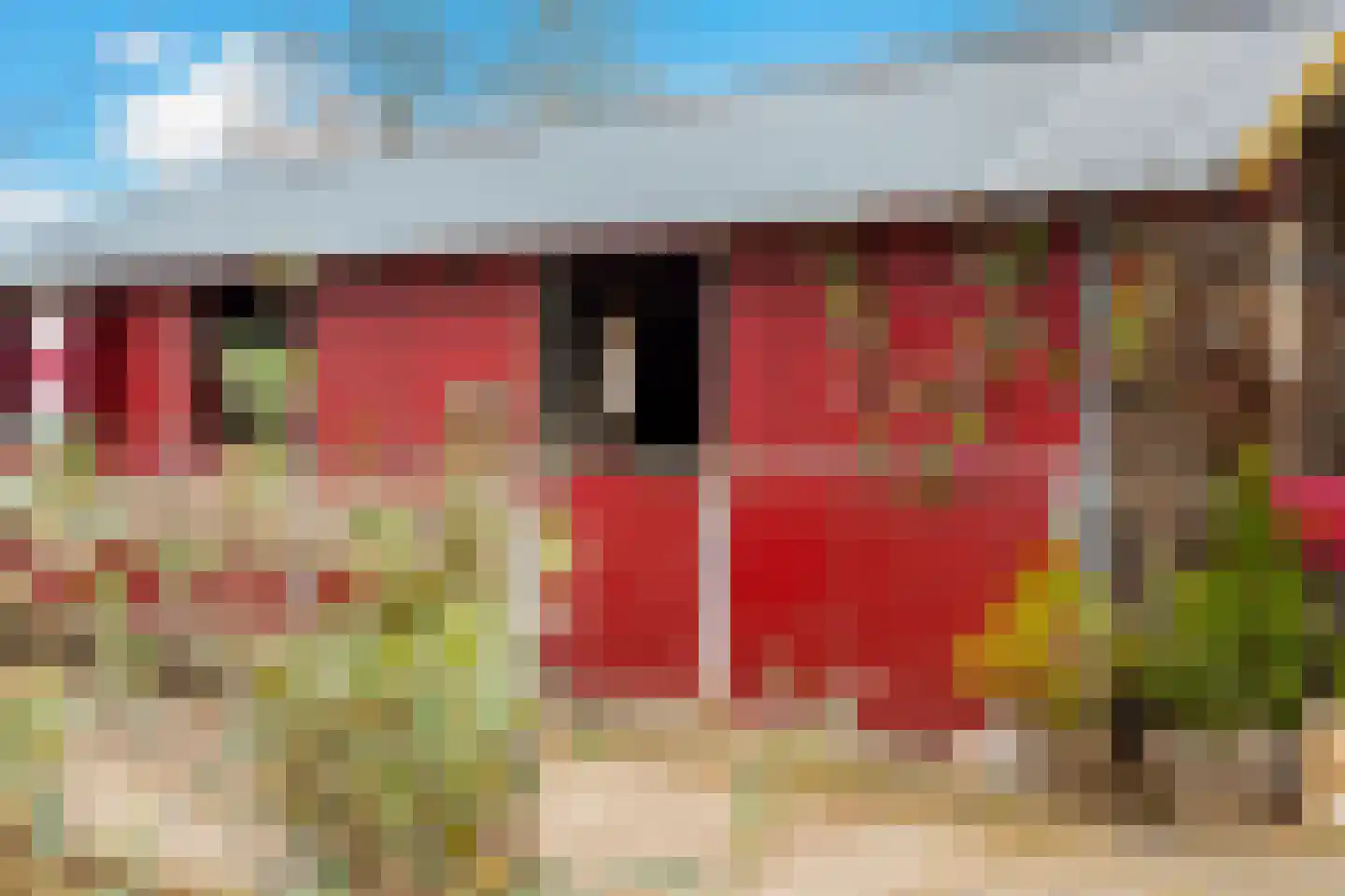 Hanikerweg 3 Lomm thumbnail 44