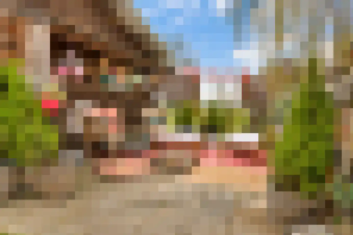 Hanikerweg 3 Lomm thumbnail 45