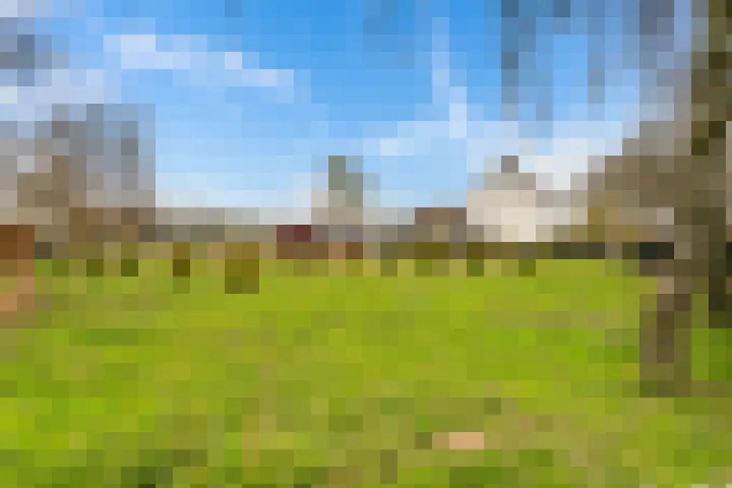 Hanikerweg 3 Lomm thumbnail 49