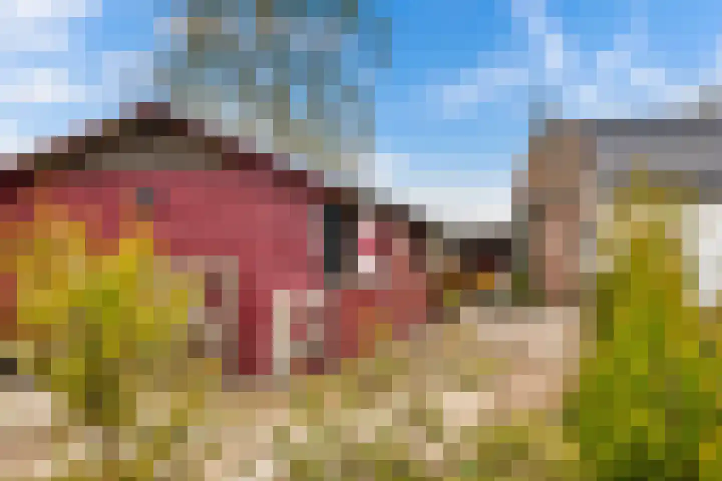 Hanikerweg 3 Lomm thumbnail 51