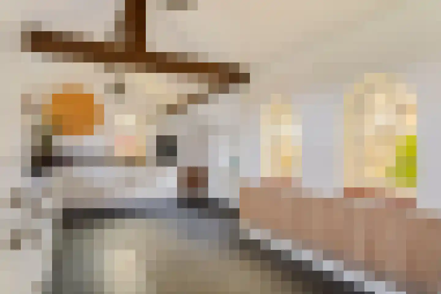 Hanikerweg 3 Lomm thumbnail 7