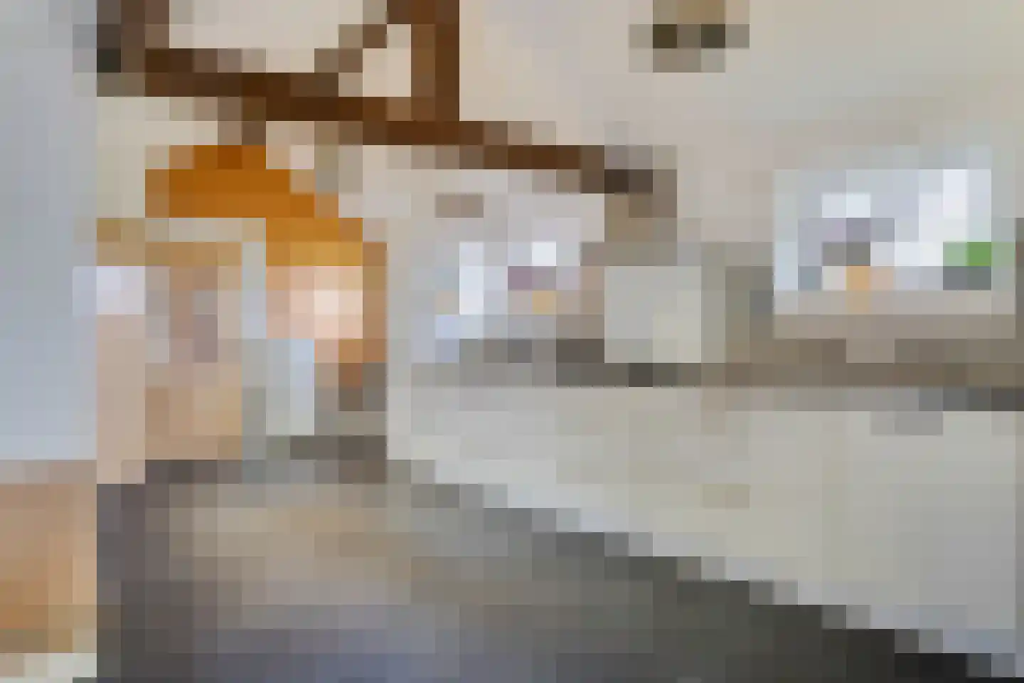 Hanikerweg 3 Lomm thumbnail 8