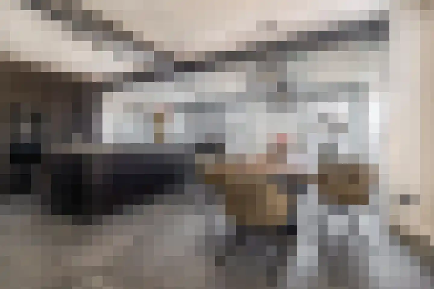 Hanikerweg 49 Lomm thumbnail 11
