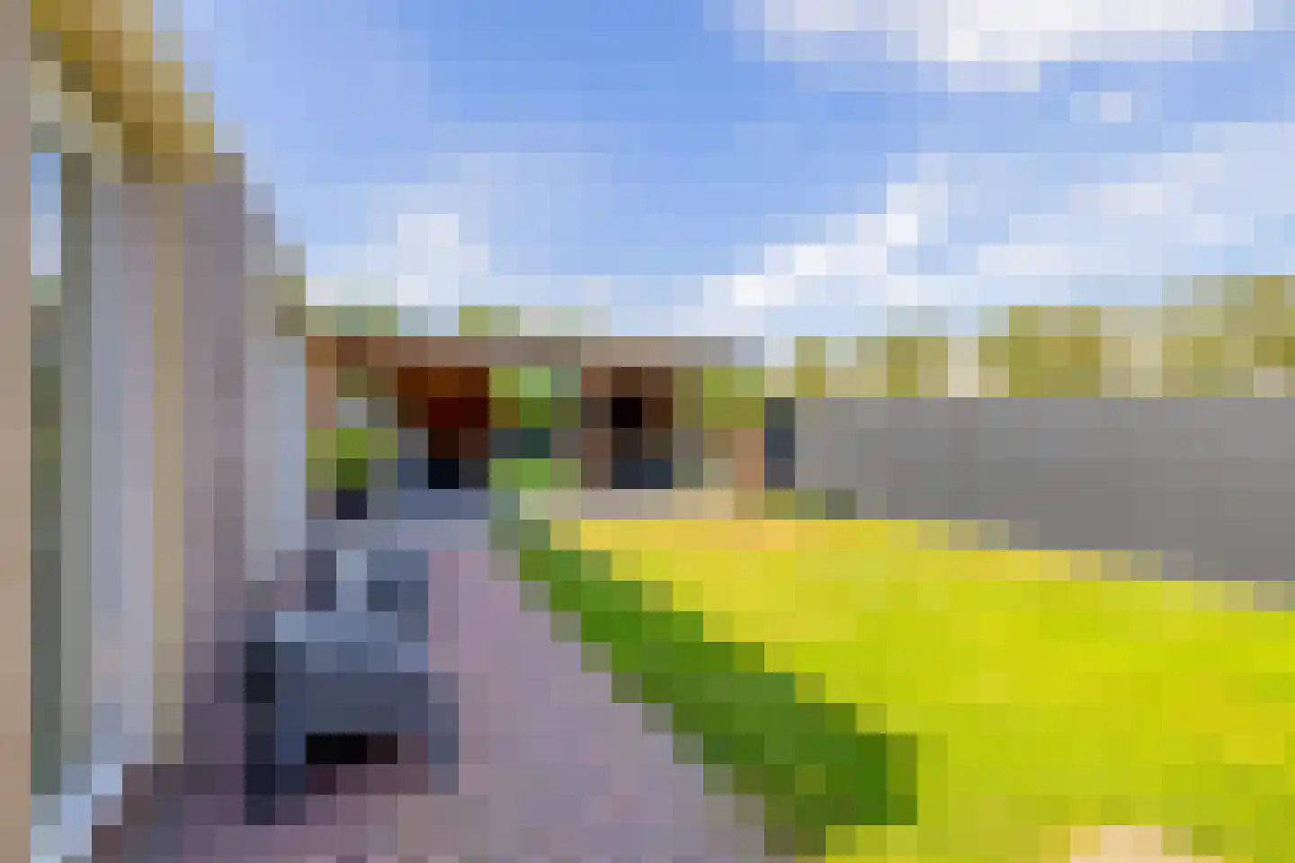 Hanikerweg 49 Lomm thumbnail 27